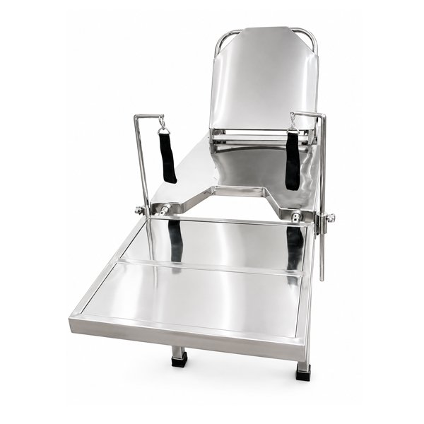 Examination Gyne Table SS Deluxe